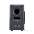 speakers professional karaoke amplifier ac/dc